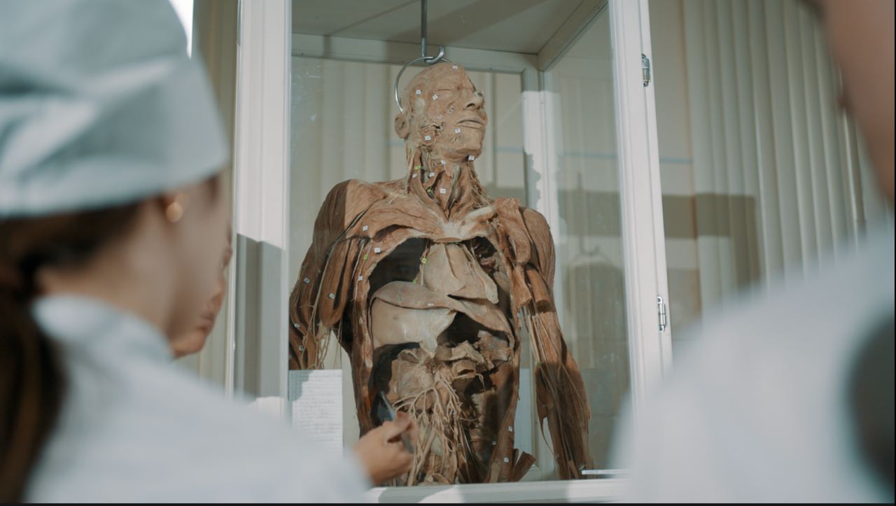 Human Anatomy Museum